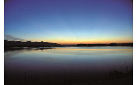 【３回定期便】ぷっくり大きな身！食べて美味しい！神西湖産大和しじみ