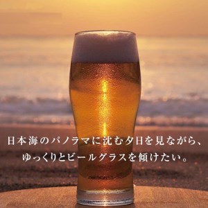 出雲多伎ブルワリークラフトビール６本セット【1_4-007】