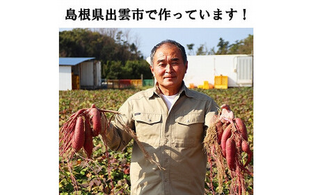 西浜いも(べにはるか)10kg(5kg×2)