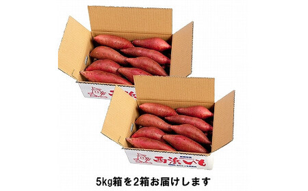 西浜いも(べにはるか)10kg(5kg×2)