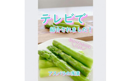 【2026年4月~9月お届け】季節限定 春夏おすすめ漬物7品セット