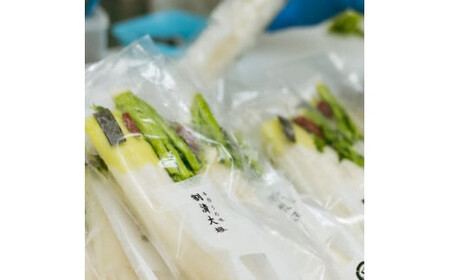 【2026年4月~9月お届け】季節限定 春夏おすすめ漬物7品セット