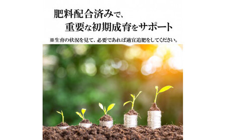 【播種・移植用培養土】種まき培土30L×10袋セット