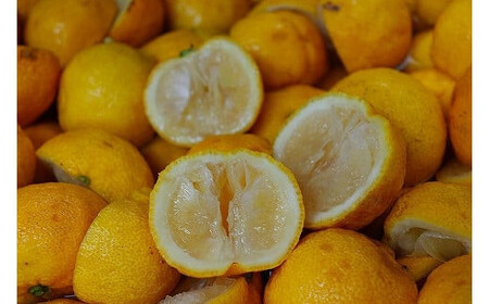 ご縁をつなぐ「おいしい出雲」認定商品セット!