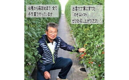 フルーツトマト【出雲の加田屋】加田屋トマト糖度7以上8未満