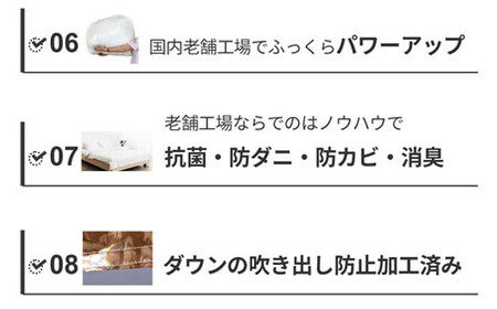 羽毛布団 シングル フランス産 ダックダウン90% 1.3kg ボディーアームスキルト 380dp