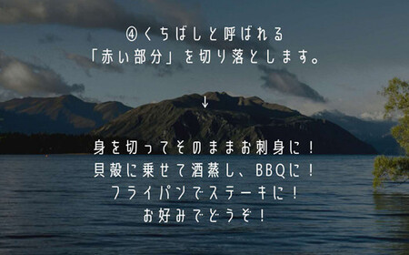 赤VS黒！しまねの天然アワビ食べ比べセット（計0.6kg以上）