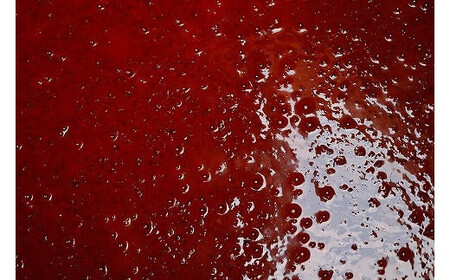 創業110年地元のお客様に愛された定番5種セット!