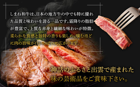 藤増 しまね和牛サーロイン ステーキ 200ｇ×3枚【冷蔵】