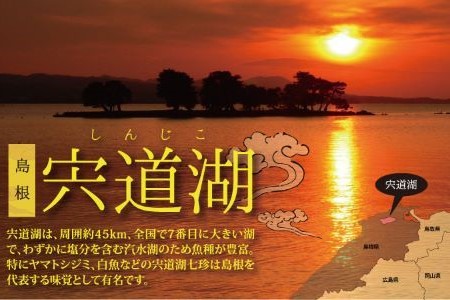 宍道湖産冷凍大和しじみ（特大）200ｇ×10袋【1-294】