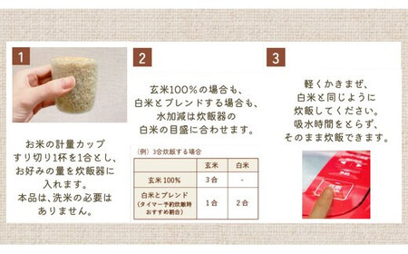 もちもち玄米【ぷちっともち玄米】洗米・つけ置き不要 炊飯器で簡単/子どもも喜ぶ/900g×6袋