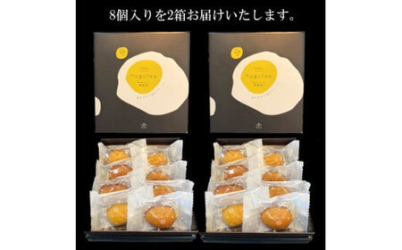 マゴフィ 8個入り2箱セット