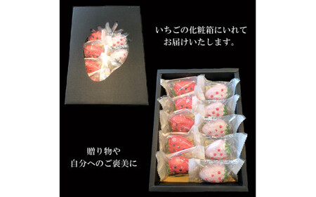 もなか いちころか 10個入り