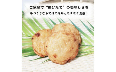 尊の厚天ぷら詰め合わせセット(玉ねぎ)