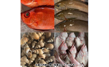 季節のおさかな、おまかせセット!3K相当