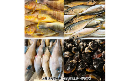 季節のおさかな、おまかせセット!3K相当