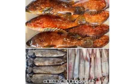 季節のおさかな、おまかせセット!3K相当