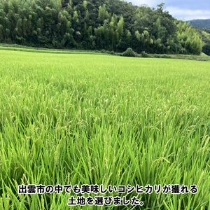 特別栽培米　出雲市産コシヒカリ　5ｋｇ【1_1-045】