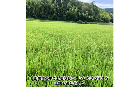 特別栽培米 出雲市産コシヒカリ 10 kg