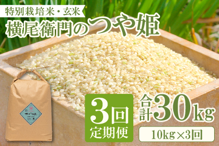 C-1105 【定期便】横尾衛門のつや姫 玄米 10kg×3回コース【新米 定期便 定期 3回 米 お米 玄米 特別栽培米 低農薬 低化学肥料 ブランド米 つや姫 10kg×3回 合計30kg】