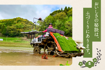 C-1105 【定期便】横尾衛門のつや姫 玄米 10kg×3回コース【新米 定期便 定期 3回 米 お米 玄米 特別栽培米 低農薬 低化学肥料 ブランド米 つや姫 10kg×3回 合計30kg】