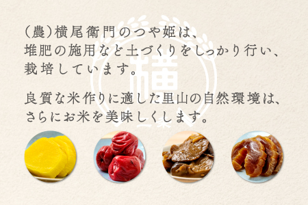 C-1105 【定期便】横尾衛門のつや姫 玄米 10kg×3回コース【新米 定期便 定期 3回 米 お米 玄米 特別栽培米 低農薬 低化学肥料 ブランド米 つや姫 10kg×3回 合計30kg】