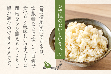 C-1105 【定期便】横尾衛門のつや姫 玄米 10kg×3回コース【新米 定期便 定期 3回 米 お米 玄米 特別栽培米 低農薬 低化学肥料 ブランド米 つや姫 10kg×3回 合計30kg】