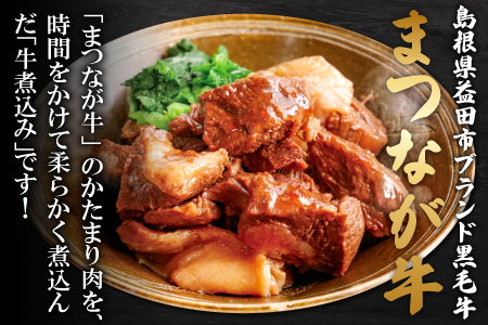 A-1133 まつなが牛を食らう！「わしのまつなが牛煮込み」・「まつなが牛カレー（２個）」セット【牛煮込み まつなが牛 松永牛 牛肉 煮込み カレー 中辛 ブランド黒毛牛 黒毛牛 セット 詰め合わせ 夕飯 おかず おつまみ 昼食 レトルト インスタント 簡単調理 時短】