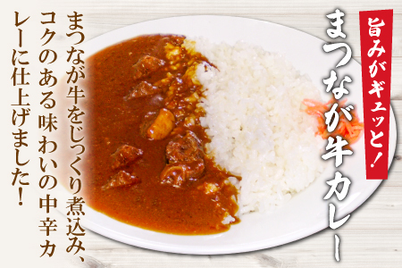 A-1133 まつなが牛を食らう！「わしのまつなが牛煮込み」・「まつなが牛カレー（２個）」セット【牛煮込み まつなが牛 松永牛 牛肉 煮込み カレー 中辛 ブランド黒毛牛 黒毛牛 セット 詰め合わせ 夕飯 おかず おつまみ 昼食 レトルト インスタント 簡単調理 時短】