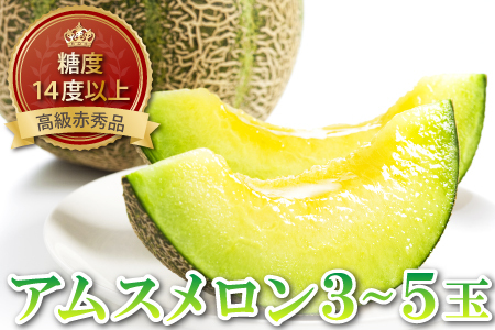 B-1150 糖度14度以上のアムスメロン 高級赤秀品　1ケース(3～5玉)【メロン 先行予約 糖度14度以上 アムスメロン めろん 高級 赤秀品 1ケース (3～5玉) メロン 早期予約 季節限定 期間限定 果物 くだもの フルーツ 贈答品 お土産 プレゼント 贈り物 ギフト 贈答】