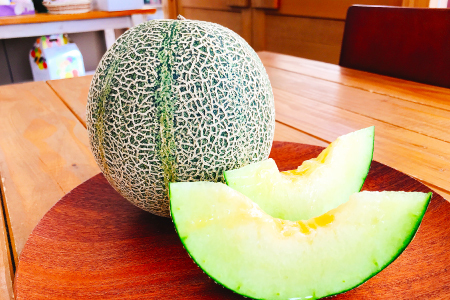 A-1152 糖度14度以上のアムスメロン　高級赤秀品　1玉