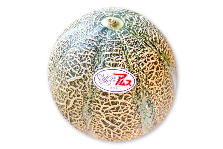 A-1169 アムスメロン 1玉