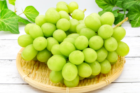 B-1179 冬季シャインマスカット 1kg