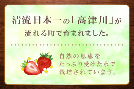 A-1181 ジャムにぴったり　訳あり いちご（750g×2パック）