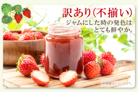 A-1181 ジャムにぴったり　訳あり いちご（750g×2パック）