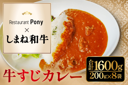 B-1202 Restaurant Pony 和田シェフが創る「しまね和牛」牛すじ入りデリシャスカレー 8袋【和牛 牛すじ ビーフカレー 欧風カレー 温めるだけ 簡単 時短 冷凍食品 惣菜 お取り寄せ グルメ】