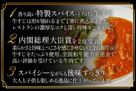 B-1202 Restaurant Pony 和田シェフが創る「しまね和牛」牛すじ入りデリシャスカレー 8袋【和牛 牛すじ ビーフカレー 欧風カレー 温めるだけ 簡単 時短 冷凍食品 惣菜 お取り寄せ グルメ】