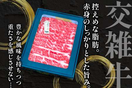 B-1198 松永牧場牛（交雑牛）肩ロース すき焼き 500g【まつなが牛 交雑牛 国産 牛肉 肩ロース すきやき 500g 1パック 贈答 ギフト 美味しまね認証】
