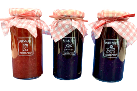 3種のジャム（いちご・ブルーベリー・ミックスベリー）【ジャム じゃむ jam セット 無添加 フルーツ 国産 果物 いちご 苺 ブルーベリー ミックスベリー  170g 3個 季節限定 期間限定 数量限定 果肉 贈り物 贈答 手土産 箱詰め 詰め合わせ プレゼント ギフト 手作り ハンドメイド スイーツ おやつ ケーキ パンケーキ 島根県 益田市】