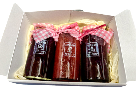 3種のジャム（いちご・ブルーベリー・ミックスベリー）【ジャム じゃむ jam セット 無添加 フルーツ 国産 果物 いちご 苺 ブルーベリー ミックスベリー  170g 3個 季節限定 期間限定 数量限定 果肉 贈り物 贈答 手土産 箱詰め 詰め合わせ プレゼント ギフト 手作り ハンドメイド スイーツ おやつ ケーキ パンケーキ 島根県 益田市】