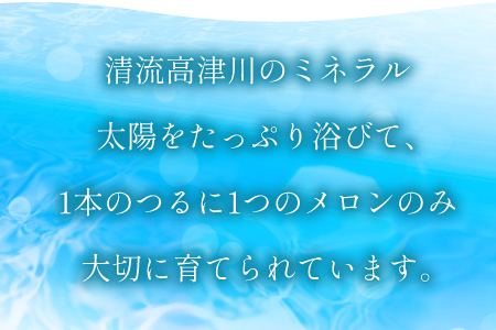 B-505 ［秋作］糖度厳選プレミアム アールスメロン 2玉