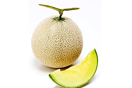 B-14 アールスメロン　秀品　2玉【秋作】