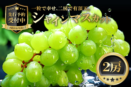 B-542 【先行予約】 シャインマスカット　2房【ぶどう シャインマスカット 種なし 先行予約 しゃいんますかっと 2房 たねなし 皮ごと 大粒 期間限定 季節限定】