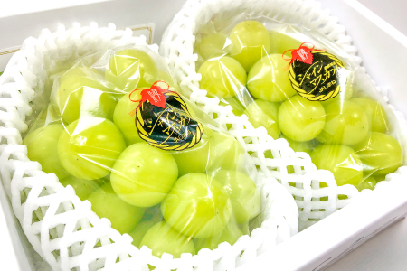 B-542 【先行予約】 シャインマスカット　2房【ぶどう シャインマスカット 種なし 先行予約 しゃいんますかっと 2房 たねなし 皮ごと 大粒 期間限定 季節限定】