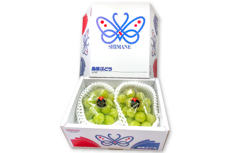 B-542 【先行予約】 シャインマスカット　2房【ぶどう シャインマスカット 種なし 先行予約 しゃいんますかっと 2房 たねなし 皮ごと 大粒 期間限定 季節限定】