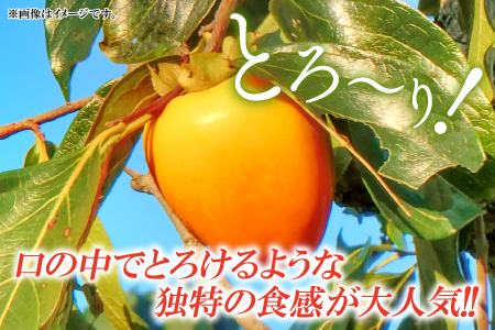 A-163 甘さたっぷり　益田特産　西条柿