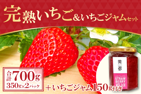 A-329 【農家直送！】完熟いちご（350g×2パック）・いちごジャムセット（150g）