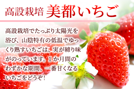 A-329 【農家直送！】完熟いちご（350g×2パック）・いちごジャムセット（150g）