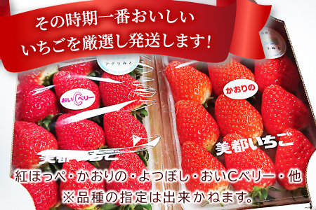 A-329 【農家直送！】完熟いちご（350g×2パック）・いちごジャムセット（150g）