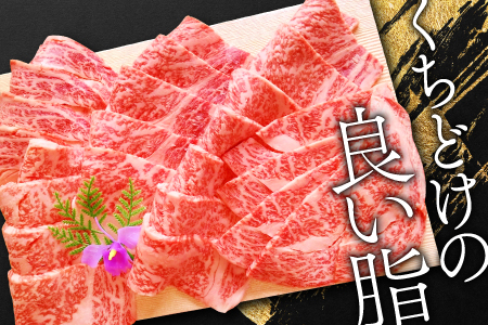 C-291 松永和牛A5ランク　焼肉　500g